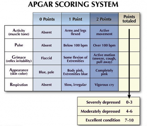 chart2